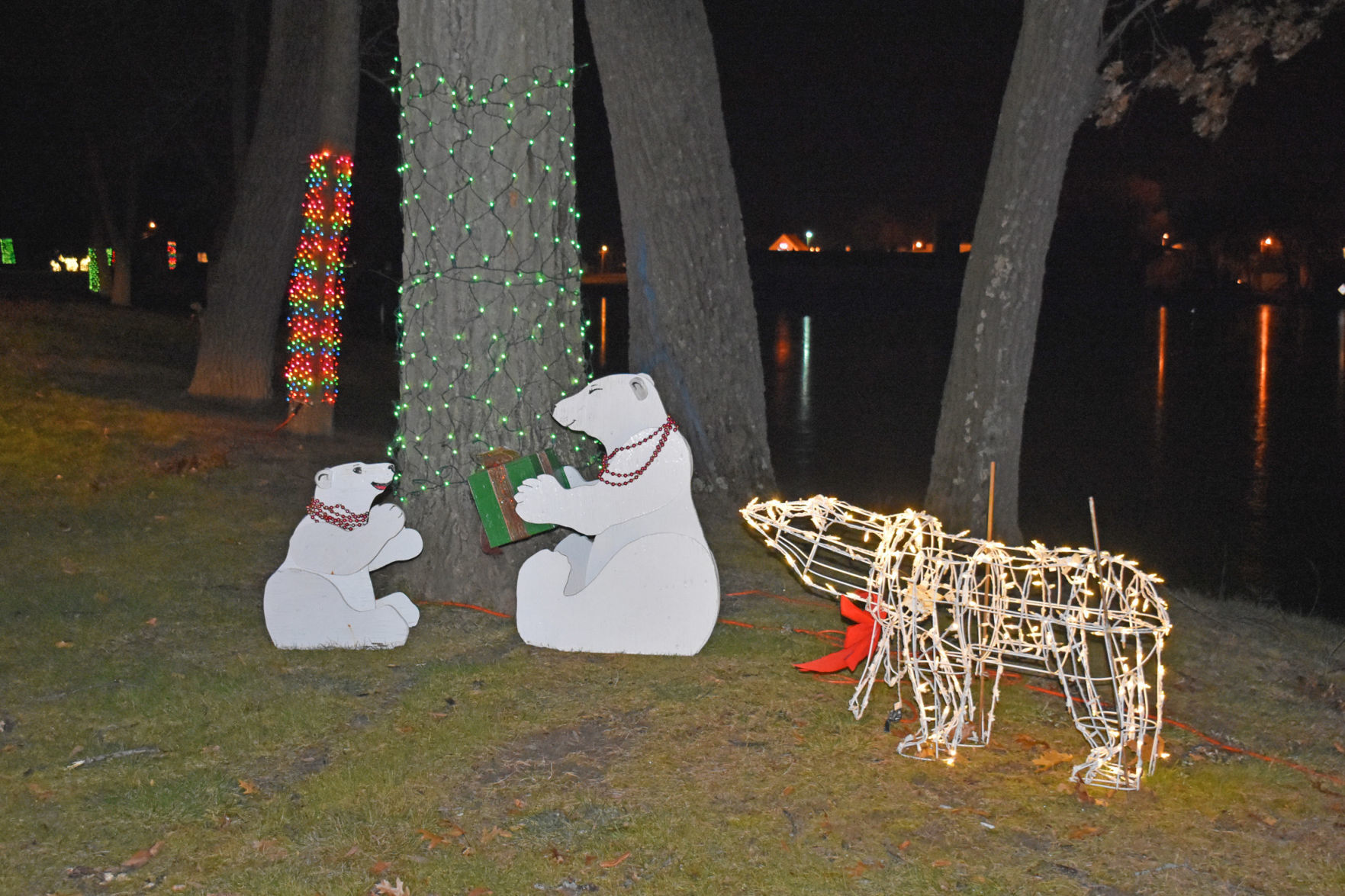 Chandler gallery -- polar bears